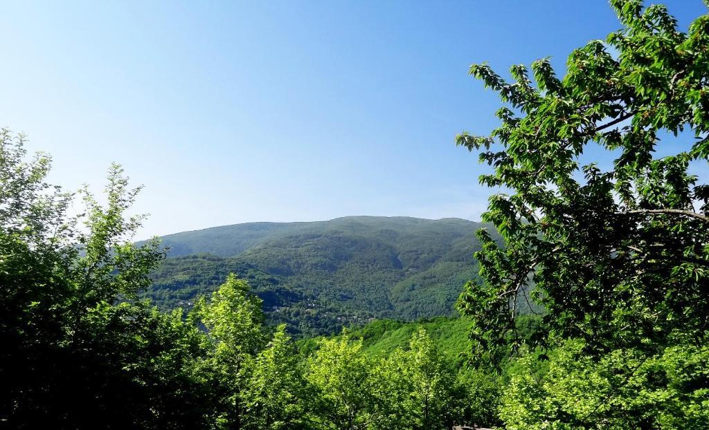 Hotel Vrionis Áyios Dhimítrios Exteriör bild